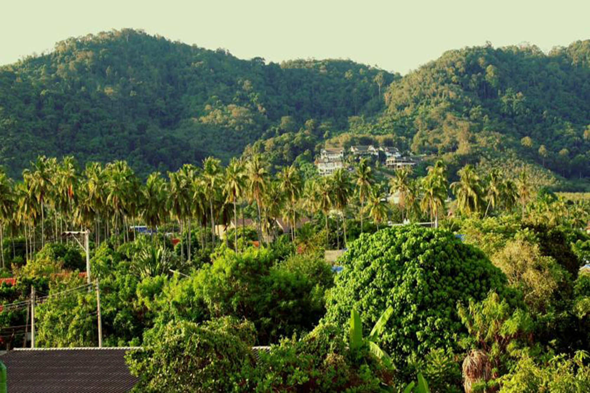 Tropical Sands Nai Harn Ngoại thất bức ảnh